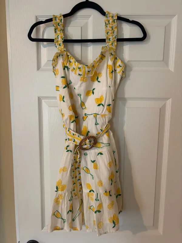Show Me Your Mumu Dress - Image 3