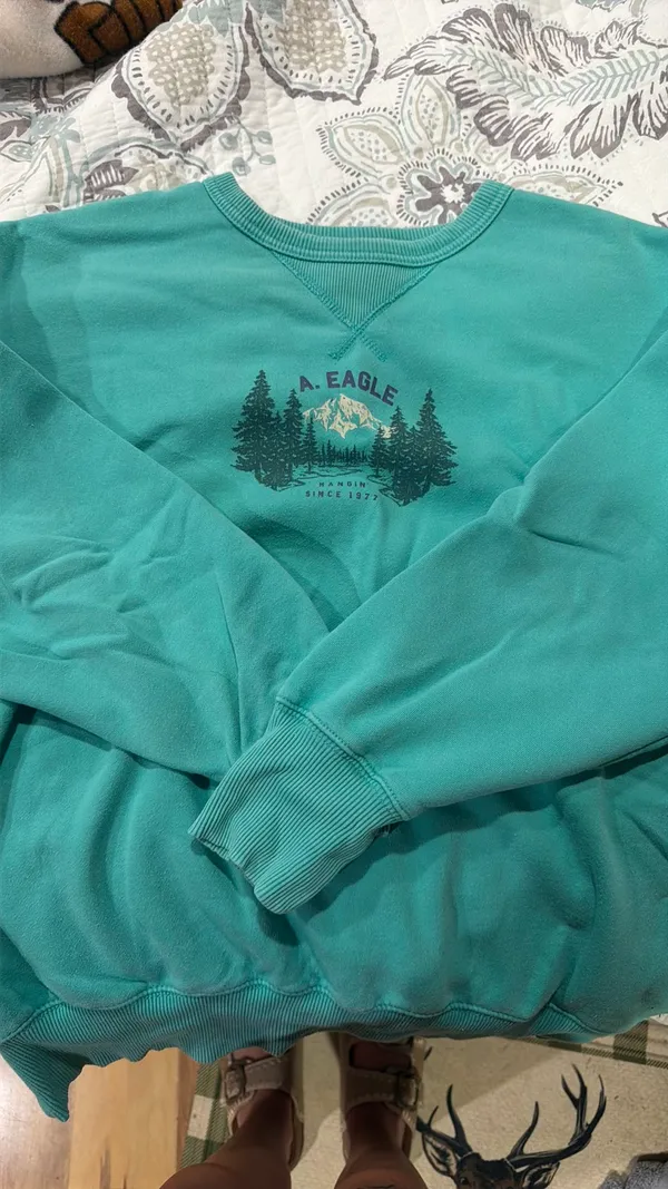 American Eagle Sweatshirt - Image 4