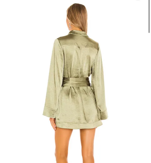 Silk green long sleeve mini dress revolve - Image 2