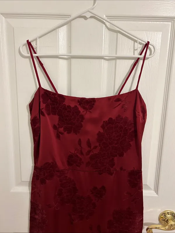 Reformation Frankie Scarlet Slip Maxi Dress Floral Velvet Burnout New Size 10 - Image 5