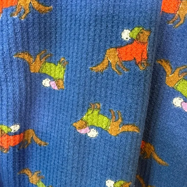 Aerie Womens Cotton Blend Waffle Knit Henley XL Blue Dachshund Dog Print Top - Image 8