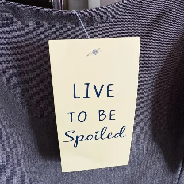 Live to be Spoiled Gray Pleated Dress with Adjustable Straps - Image 2
