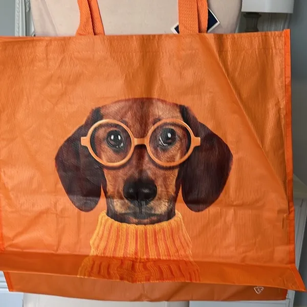 Puppy Dog Tote Orange - Image 8