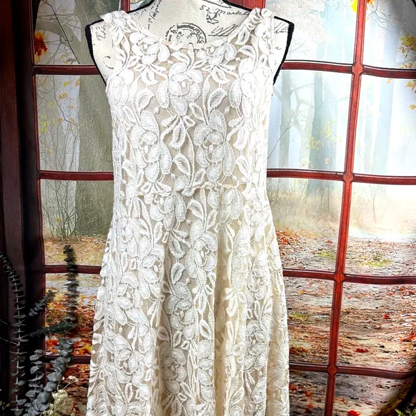 Free People Lace Sleeveless Mini Dress Beige M - Image 7