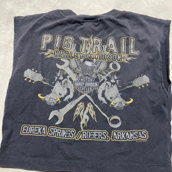 Harley Davidson Y2K VTG Pig Trail Rogers Arkansas T-Shirt Size SZ M Women's - Image 3