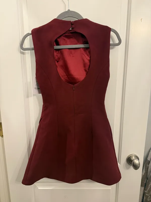 Showpo Dress Mini - Image 2
