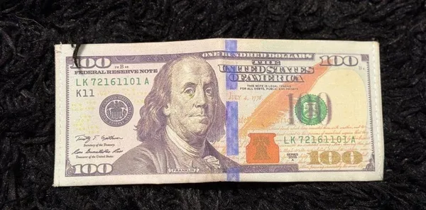 100 dollar bill themed wallet - Image 3