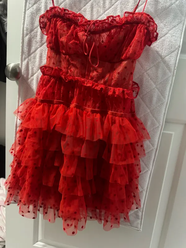 For Love & Lemons Dress - Image 6