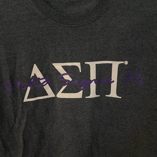 Delta Sigma Pi Shirt Gray Size M - Image 2