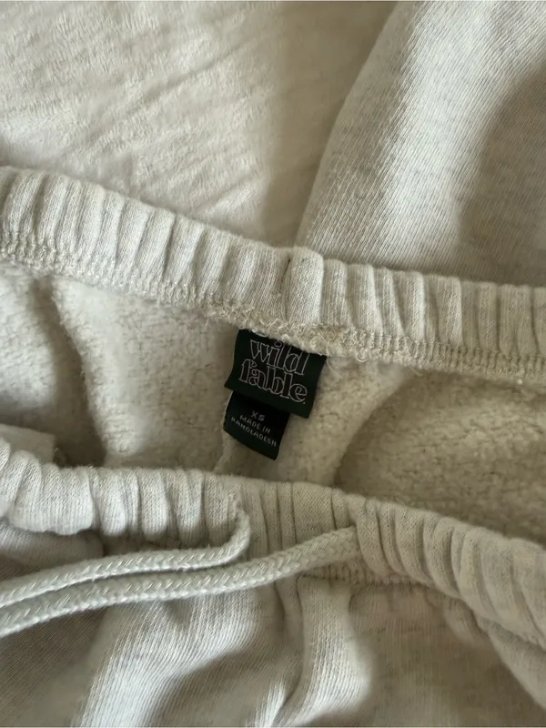 wild fable Light Gray Cozy Fleece Joggers - Image 2