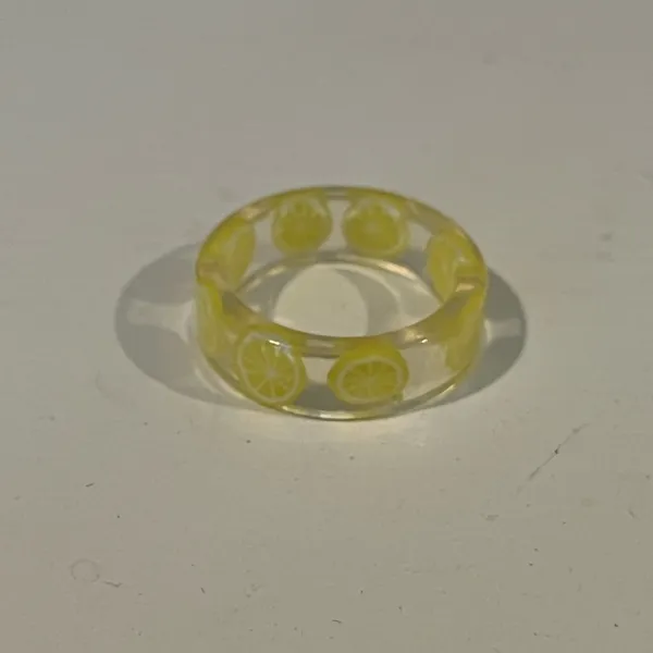 4 Resin Dings of Lemons, Watermelons and Dried Flowers - Image 5
