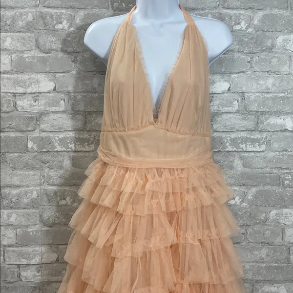 VICI Love Filled Tiered Tulle Maxi Dress - Image 4