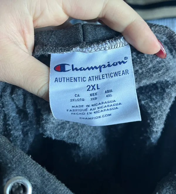 Albright College Champion Hoodie - Image 5