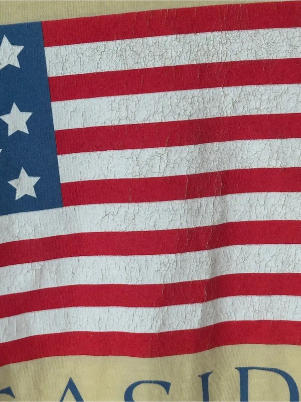 Seaside Comfort Colors USA American flag tee 30A florida butter short sleeve - Image 7