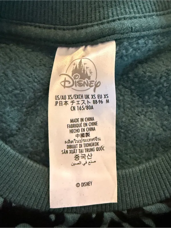 Disney Parks Haunted Mansion Gargoyle Flocked Graphic Sweatshirt Teal Black XS - Image 5