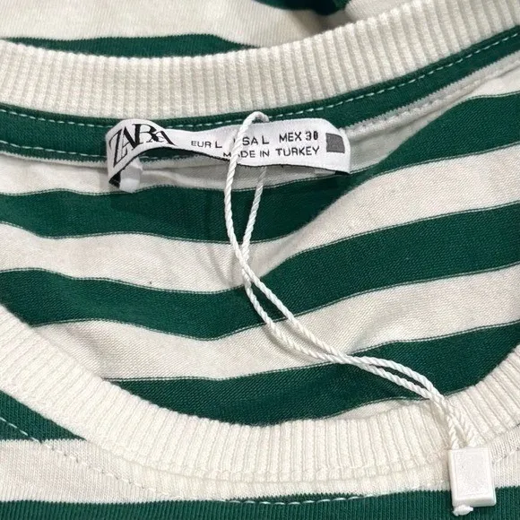 NEW Zara Dinosaur and Stripe Tee Novelty Comfort Fun Quirky Camp L - Image 8