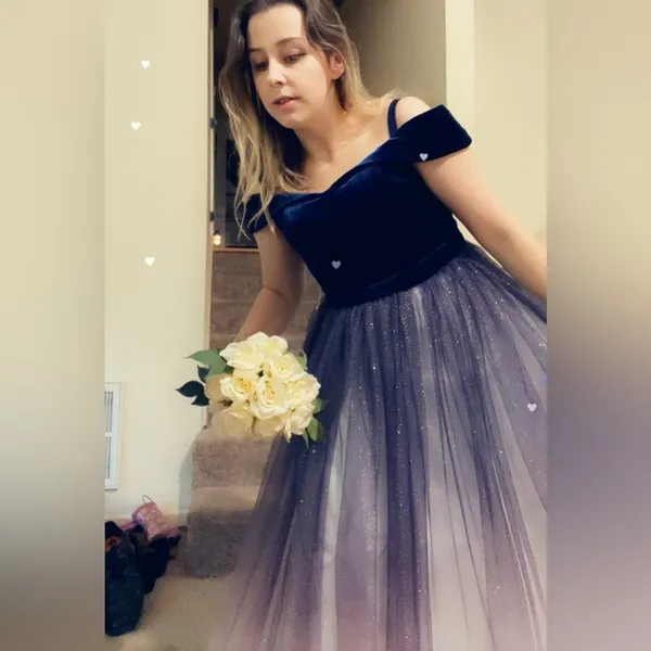 Fairy starfall ball velvet ombré tulle ballgown - Image 9
