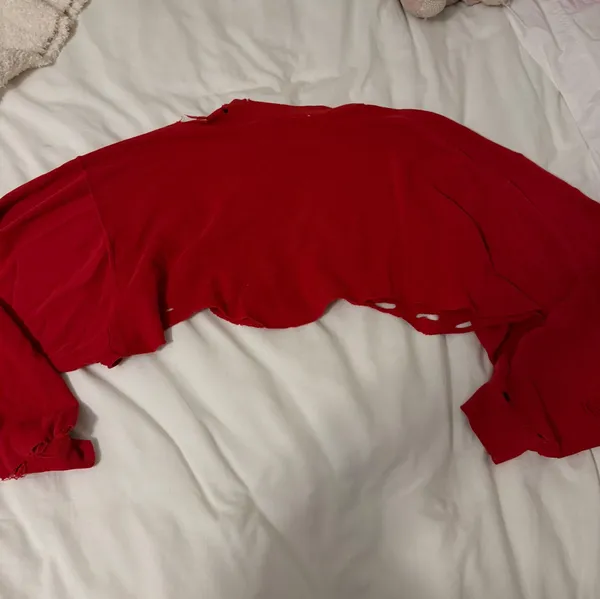 LF Stores Furst of a Kind Vintage Distressed Cropped Sweatshirt Indiana Hoosiers - Image 4