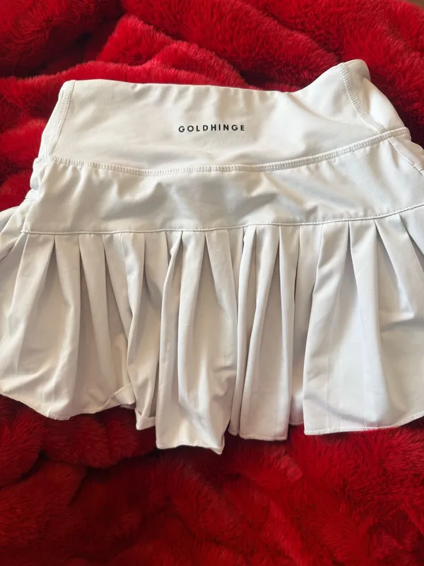 Gold Hinge Skirt - Image 3