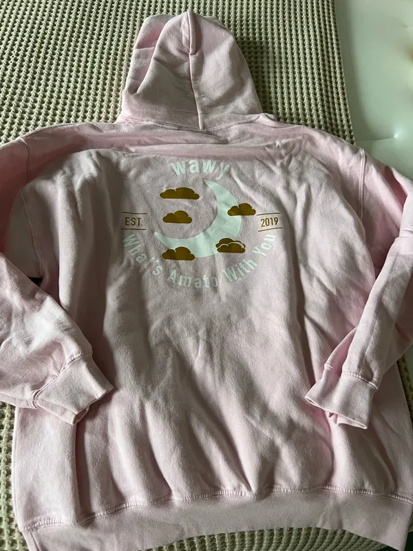 Soft light pink pullover hoodie. Features a small chest graphic logo in cream and gold tones. Front kangaroo pocket. Drawstring hood. Casual and cozy style. - Image 2
