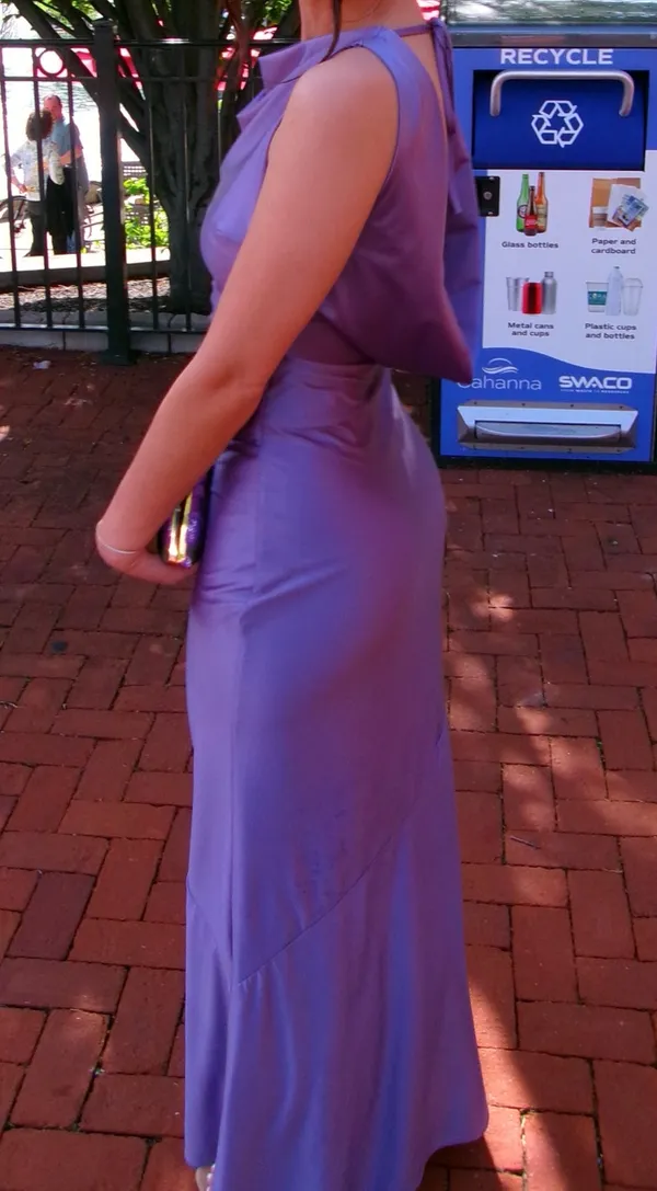 Amazon Silk Dress - Image 2
