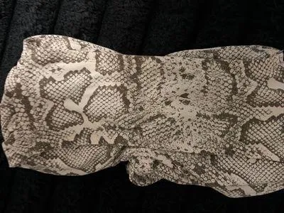 Almost Famous Beige and Brown Snake-Print Reptile Hide - Image 5