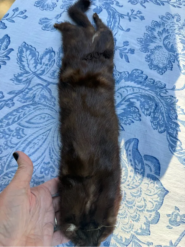 Vintage Full Body Mink Fur Stole Wrap Scarf Real Brown Fur 21” w/ Face Tail Legs - Image 4