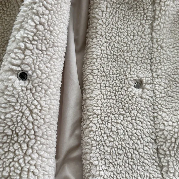 Zara XS Women's Beige Sherpa Teddy Shearling Hooded Cropped Jacket Coat - Image 6