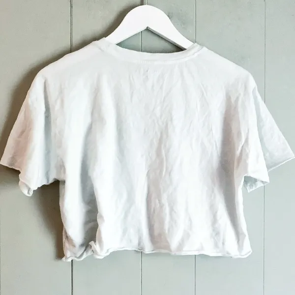 AMERICAN EAGLE OUTFITTERS Logo Floral Embroidered Crop Tee M - Image 2