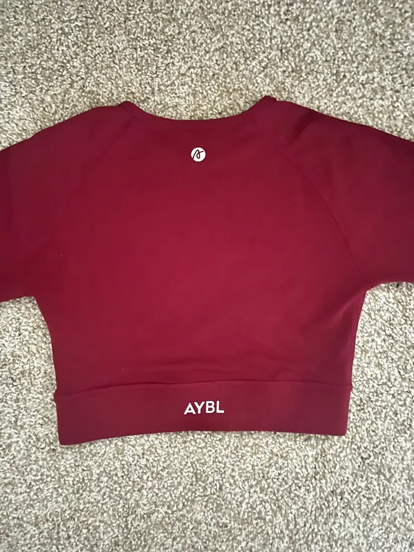 AYBL Long Sleeve Crop Top Core - Image 6