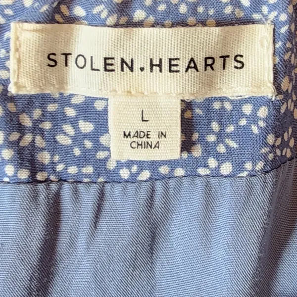 Stolen Hearts Blue Floral Ditsy A-Line‎ Button Front Boho Skirt L - Image 2