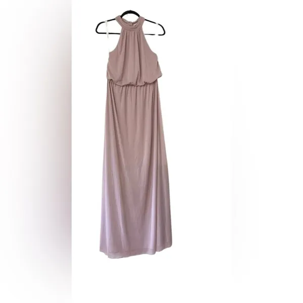✨AZAZIE LANDRY Cedar Rose A-Line Pleated Mesh Sz A14 Dress✨ - Image 5