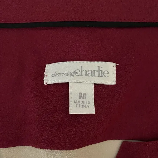 Charming Charlie Colorblock Semi-Sheer V-Neck Blouse | Size M - Image 5