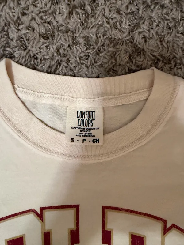 Comfort Colors Florida State T-Shirt - Image 2