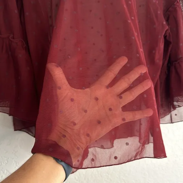 Express Sheer Fairy Top Polka Dot Burgundy Dark Vampire Fall Whimsigoth Large - Image 4