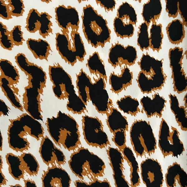 Express Leopard Print Bomber‎ Jacket - Image 5