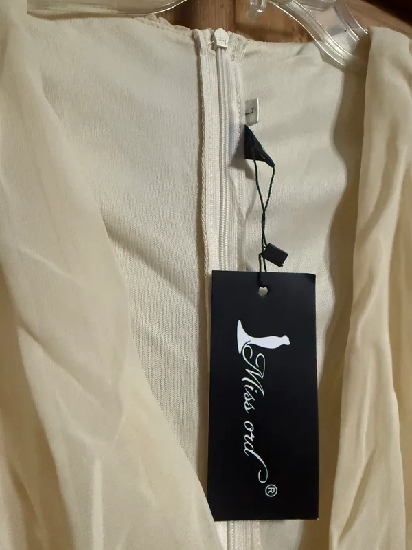 Missy Ord Beige Chiffon Mini Dress - Image 2