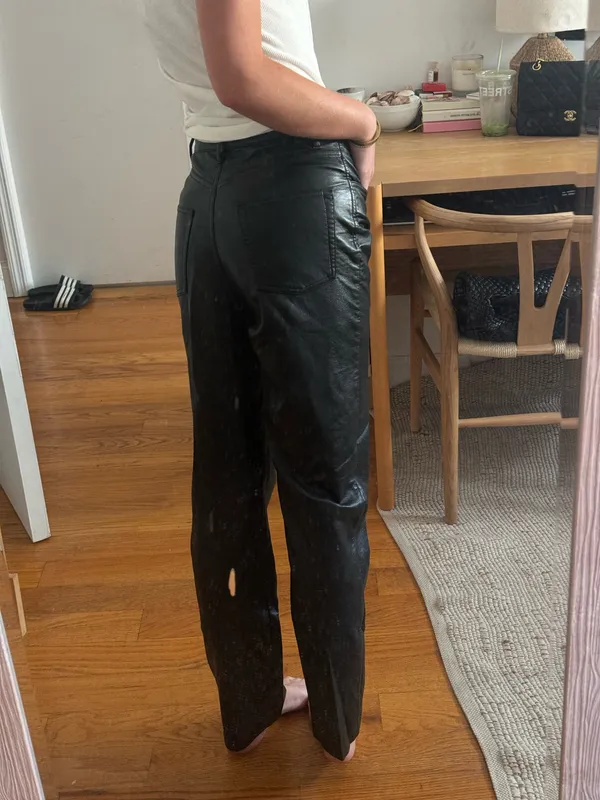Wilfred Leather Aritzia Pants - Image 3