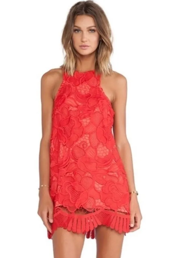 Lovers + Friends Caspian Lace shift dress▪️size S - Image 2