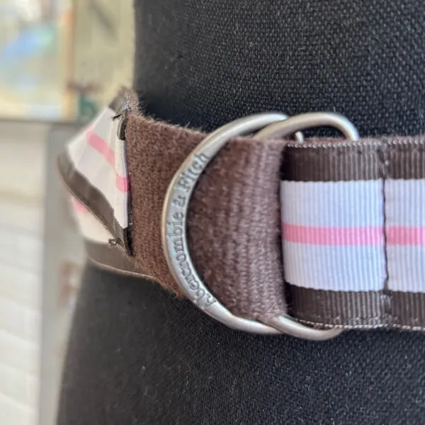 Abercrombie and Fitch Canvas Belt vintage Y2K industrial‎ layered - Image 4