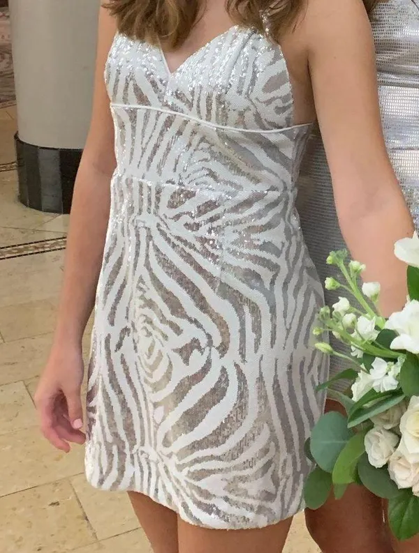 Zebra Silver Sequin Mini Dress - Image 2
