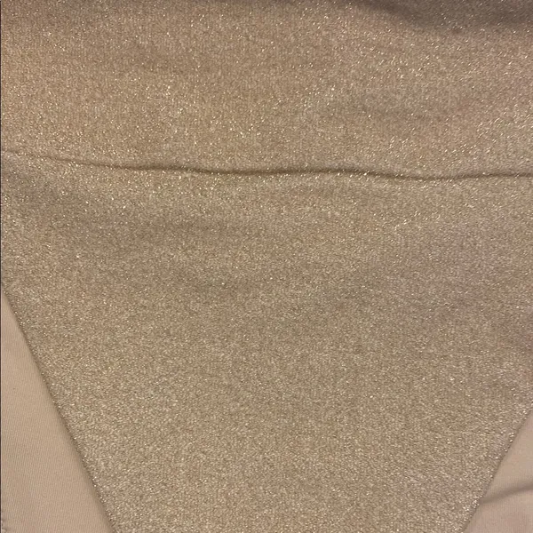Aerie Gold Bikini Bottom - Image 2