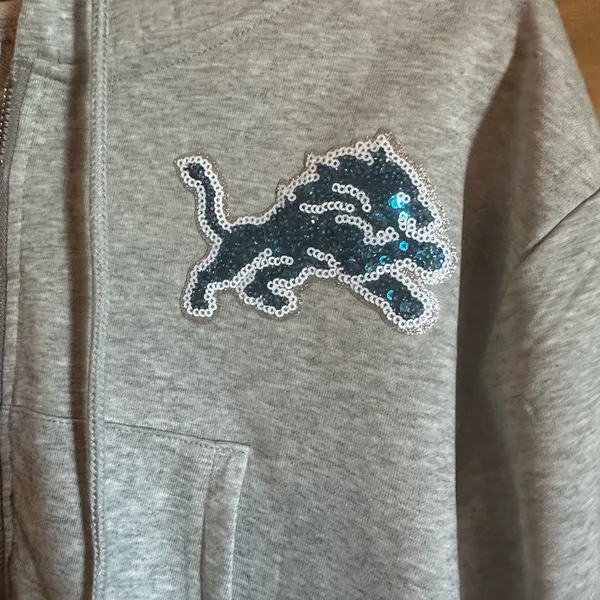 Detroit Lions sweatshirt! NFL gray sequin bedazzled logo hoodie size small! - Image 4