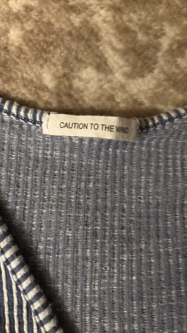 Caution to the Wind Blue and white striped top - Image 2