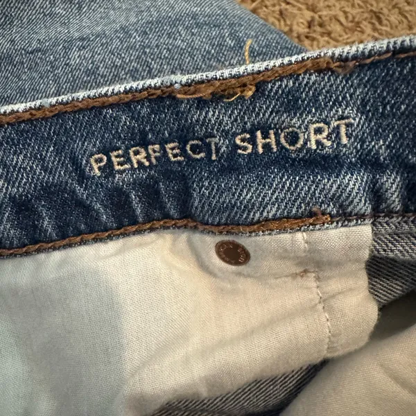 American Eagle Distressed Perfect Short size 14. - Image 10