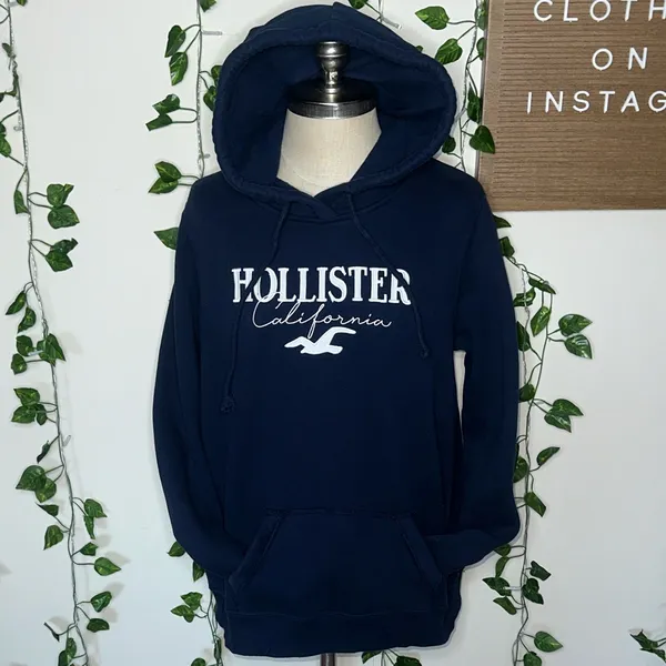 Hollister Easy Appliqué Logo Graphic Hoodie Navy Blue - Image 2