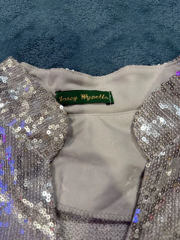 Josey Wynette Silver Sequin Long Sleeve V-Neck Blouse and Matching Jogger Set - Image 4