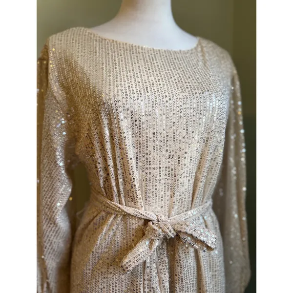 Vine & Love Sparkling Gold Sequin Long Sleeve Belted‎ Mini Dress Party Glam Y2K boho fairy - Image 2