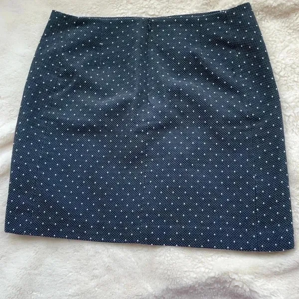 Loft black and blue skirt with white dots, front pockets and‎ zipper, size 12​ - Image 3