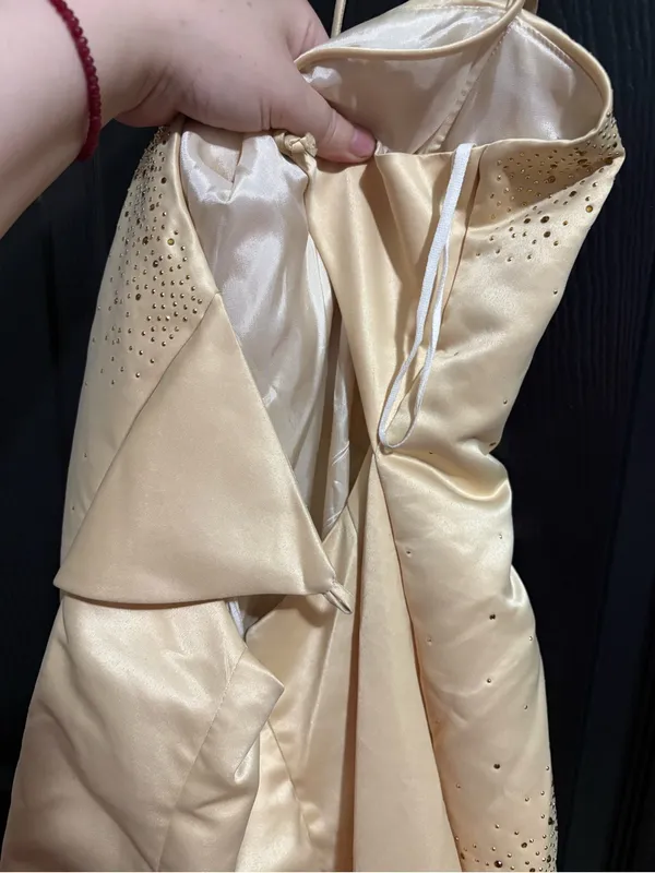 Strapless Champagne Embellished Dress - Image 4